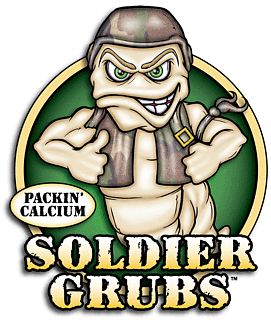 Soldier Grubs
