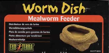 Mealworm Dish