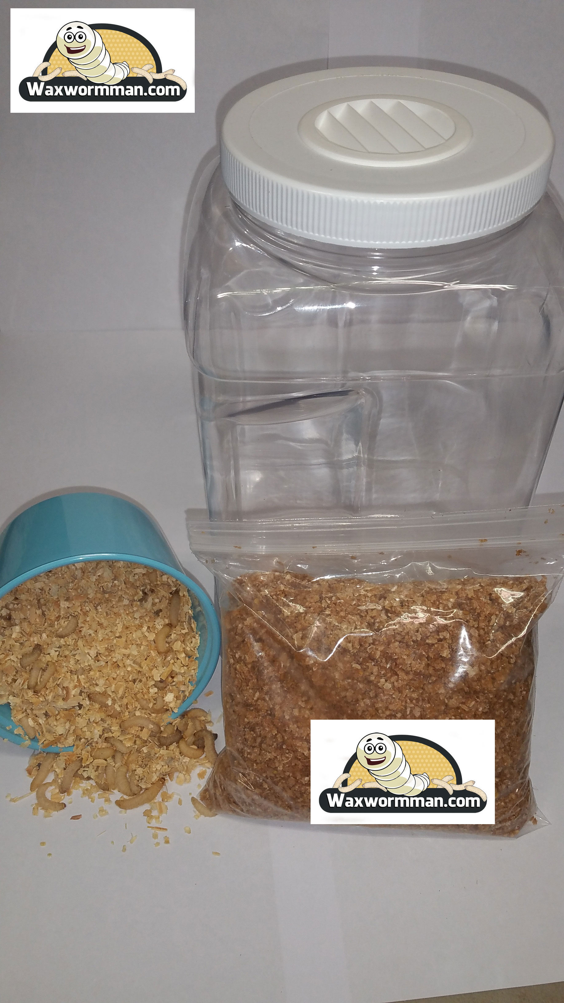 Wax Worm Breeding Kit